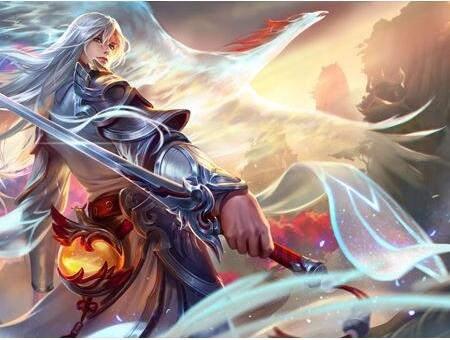 职业选手的 职业选手的