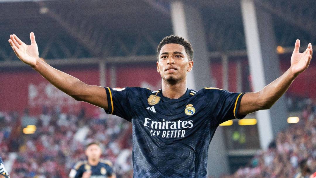 的入场券 的入场券