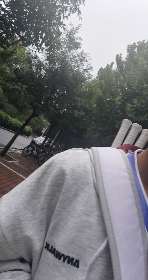 德甲与豪门